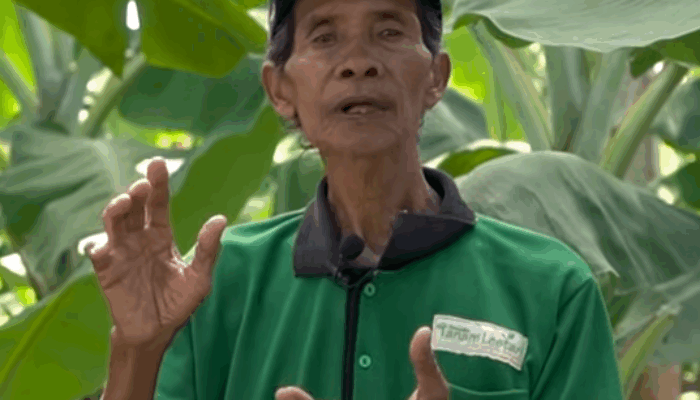 Sosok Mbah Lasiyo Syaifudin, Petani Asal Bantul yang Menjadi Profesor Pisang Mendunia