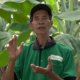 Sosok Mbah Lasiyo Syaifudin, Petani Asal Bantul yang Menjadi Profesor Pisang Mendunia