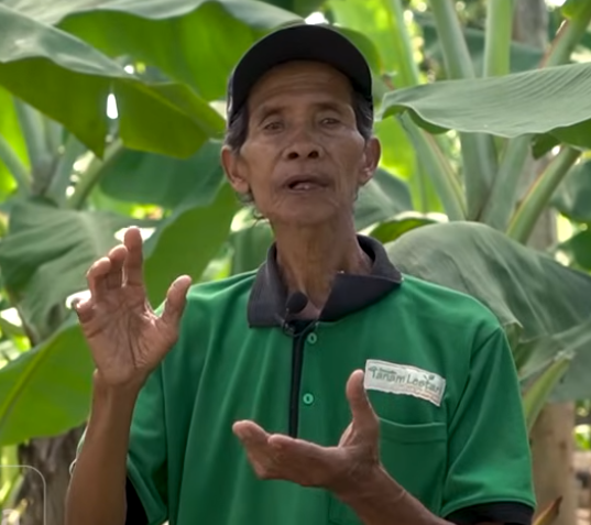 Sosok Mbah Lasiyo Syaifudin, Petani Asal Bantul yang Menjadi Profesor Pisang Mendunia