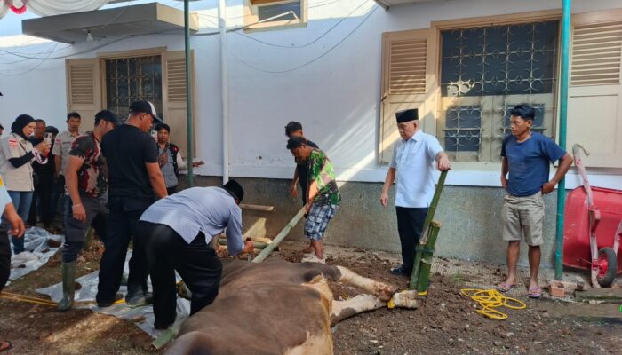 Tebar Kepedulian di Momen Idul Adha, RAI Heri Gunawan Kembali Sembelih 10 Sapi dan 6 Kambing Kurban