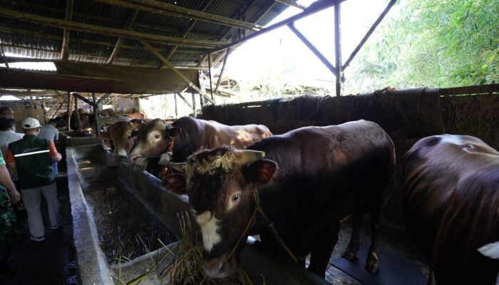Jelang Idul Adha 1446 H, Jual Beli Hewan Kurban di Kota Sukabumi Menurun