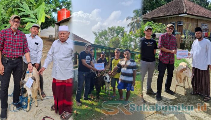 Wujud Kepedulian Sosial di Hari Raya Idul Adha, PT. BSM Tebar 11 Ekor Hewan Kurban di Desa Buniwangi