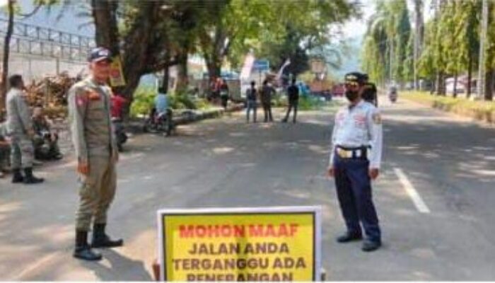 Antisipasi Bahaya, Tiga Pohon Trembesi Tua di Palabuhanratu Ditebang Disperkim