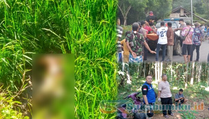 Petani di Surade Ditemukan Meninggal Dunia di Area Persawahan, Diduga Terjatuh Akibat Penyakit