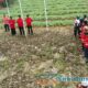 Semangat Bulan Bung Karno, 9 PAC Gelar Upacara Hari Lahir Pancasila di Jampangkulon
