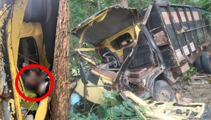 Truk Pemuat Kayu Jati Terjun ke Jurang di Tegalbuleud, Sopir Tewas Terjepit Kabin