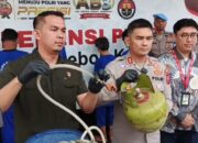 Dessy Susilawati Apresiasi Polres Cirebon Kota Bongkar Praktik Oplosan Gas Elpiji Bersubsidi