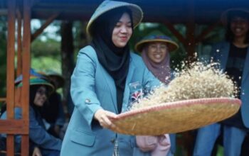 Desa Wisata Hanjeli Sukabumi, Warisan Pangan Lokal yang Disulap Jadi Destinasi Edukasi dan Ekowisata