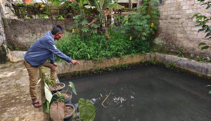 Warga Kebonjati Sukabumi Keluhkan Dugaan Pencemaran Limbah Hotel, Ikan di Kolam Mati Massal