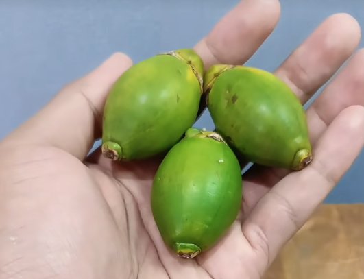 Ramuan Obat Kuat Pria Ala Sukabumi: Cuma 2 Bahan, Khasiat Dahsyat