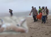 Mayat Pria Bertato Ditemukan di Pantai Mandalaratu, Diduga Nelayan Tegalbuleud