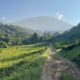 Menikmati Keindahan Alam Sukabumi: Hamparan Kebun Teh dan Pesona Gunung Gede Pangrango
