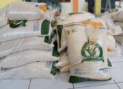 Penyaluran Bantuan Cadangan Pangan Di Kota Sukabumi Berjalan Lancar Warga Terima 20 Kg Beras