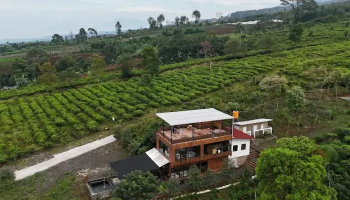 Papyrus Cafe and Camping Site, Caffe Ternyaman di Tengah Kebun Teh Kaki Gunung Gede Pangrango Sukabumi