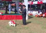 Anggota DPRD Anang Janur Bacakan Teks Proklamasi di Upacara HUT RI ke-80 Kecamatan Jampangkulon