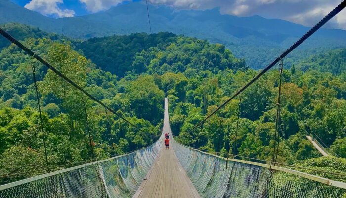 Pesona Alam dan Pegunungan Sukabumi, dari Jembatan Gantung hingga Danau Eksotis