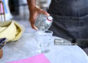 Air Cacing untuk Tipes: Mitos atau Fakta?