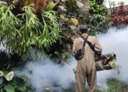Kasus DBD Mengintai, Dinkes Kota Sukabumi Gencarkan Fogging di Sejumlah Wilayah