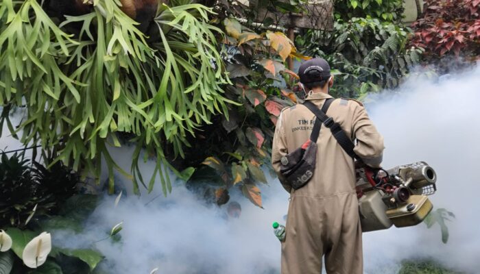 Kasus DBD Mengintai, Dinkes Kota Sukabumi Gencarkan Fogging di Sejumlah Wilayah