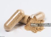 Waspada Tipes, Jangan Tertipu Mitos Kapsul Cacing