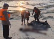 Ditemukan Tak Bernyawa di Pulau Tinjil, Nelayan Ujunggenteng yang Hilang Kontak Dinyatakan Meninggal