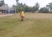 Lapangan Putra Jaya Desa Padajaya Siap Jadi Tuan Rumah PHBN Tingkat Kecamatan Jampangkulon