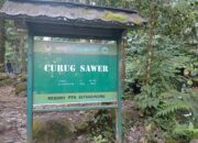Curug Sawer, Permata Alam Sukabumi di Balik Jembatan Terpanjang Asia Tenggara