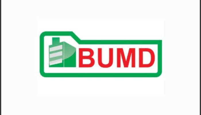 Dessy Susilawati Soroti BUMD Jabar, Dukung Gubernur Dedi Mulyadi Terkait Pengelolaan yang Bermasalah