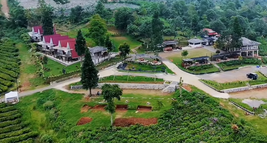 Villa Damar Pondok Halimun: Healing, Ngopi, dan Menyatu dengan Alam di Sukabumi