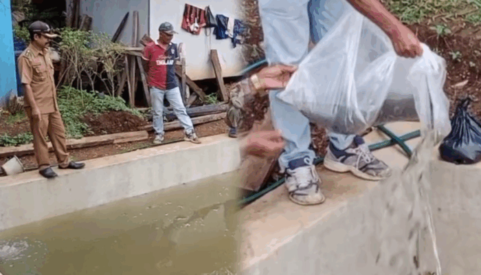 Bibit Lele Jadi Harapan Baru, Warga Padajaya Didorong Bangun Kemandirian Pangan