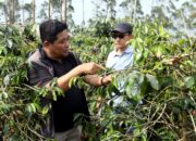 Jamkrindo Bandung Catat Penjaminan Rp 12,28 Triliun, Dukung 189 Ribu UMKM di Jawa Barat