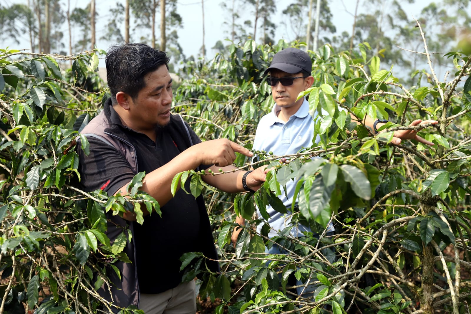 Jamkrindo Bandung Catat Penjaminan Rp 12,28 Triliun, Dukung 189 Ribu UMKM di Jawa Barat