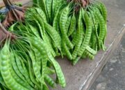 Petai, Si Kacang Hijau Beraroma Khas yang Kaya Manfaat Kesehatan