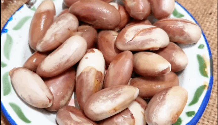 Biji Nangka, Camilan Tradisional yang Ternyata Bisa Bantu Turunkan Kolesterol