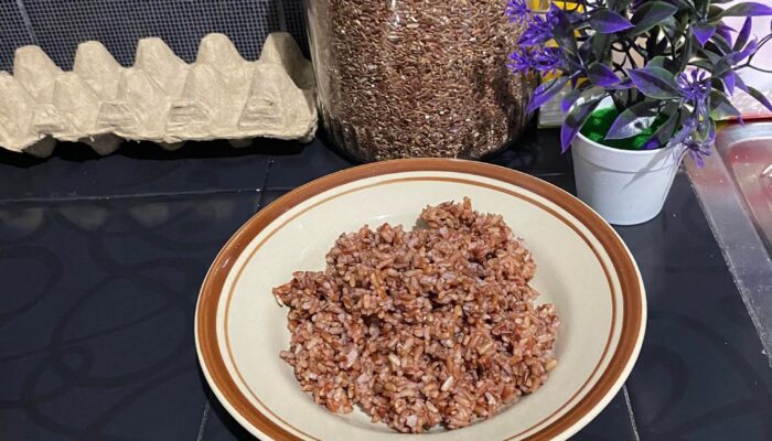 Nasi Merah dengan Lauk Ringan: Menu Sarapan Sehat Penjaga Energi