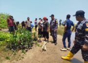 Penanaman 500 Pohon Mangrove di Pangumbahan, Wujudkan Rehabilitasi Pesisir Sukabumi