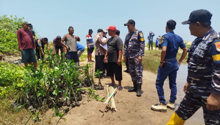 Penanaman 500 Pohon Mangrove di Pangumbahan, Wujudkan Rehabilitasi Pesisir Sukabumi