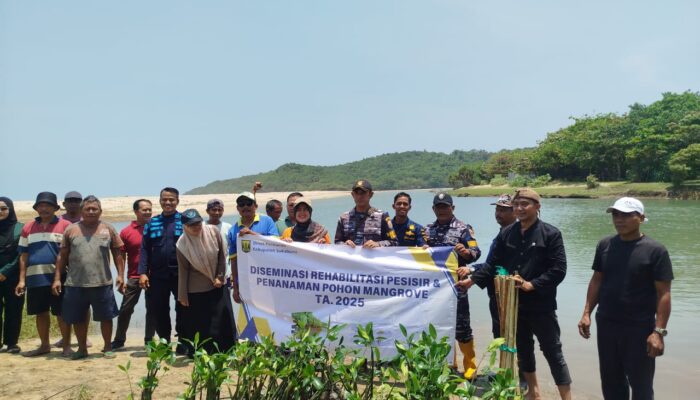 UPP Kelas III Palabuhanratu Dorong Rehabilitasi Pesisir Lewat Penanaman 500 Mangrove