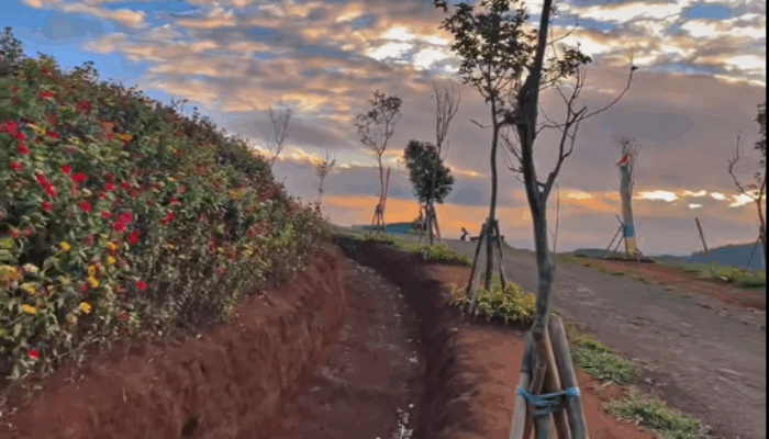 Spot Foto Alam Eksotis di Kabupaten Sukabumi, Panenjoan Cibadak