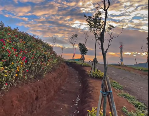 Panenjoan Cibadak, Spot Foto Alam Eksotis di Kabupaten Sukabumi