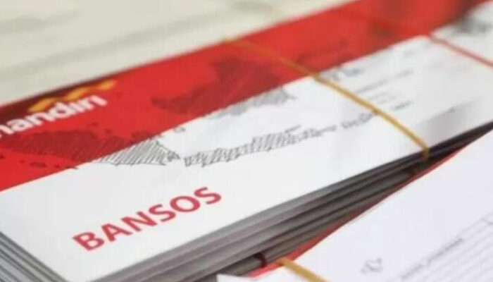 Cara Daftar dan Cek Bansos Online Lewat Portal Perlinsos