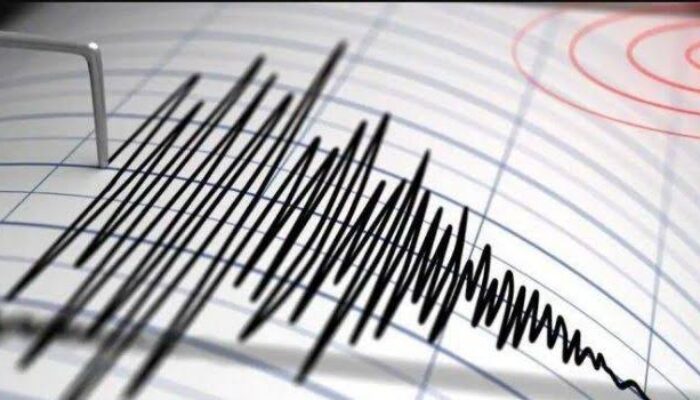 Gempa M 4,0 Guncang Sukabumi, BMKG Catat 5 Kali Susulan