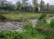 Akses Terhambat, Warga Jampangtengah Sukabumi Minta Jembatan Leuwidingding Dibangun Permanen