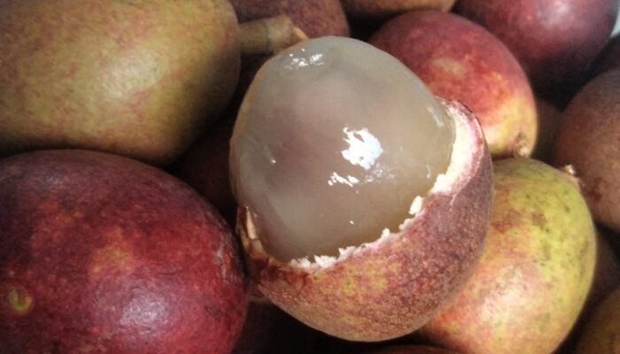 Manfaat Buah Matoa untuk Kesehatan: Buah Eksotis Papua Kaya Nutrisi