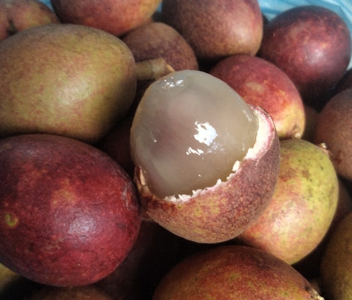 Manfaat Buah Matoa untuk Kesehatan: Buah Eksotis Papua Kaya Nutrisi