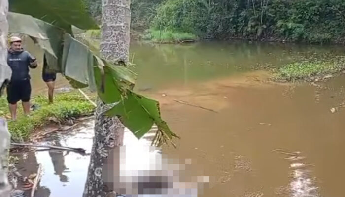 Hilang Tiga Hari, Identitas Nenek Tewas di Kolam Rawa Sagaranten Sukabumi Terungkap