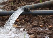 Ponpes di Wanasari Nikmati Manfaat Program Sumur Bor Disperkim Sukabumi