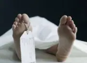 Polisi Sebut Pria Tertabrak Kereta di Cisaat Sukabumi Diduga Bunuh Diri, Apa Motifnya?