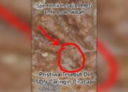 Viral Belatung di Menu MBG SDN Caringin Ciracap Sukabumi, Begini Klarifikasi Pemilik SPPG