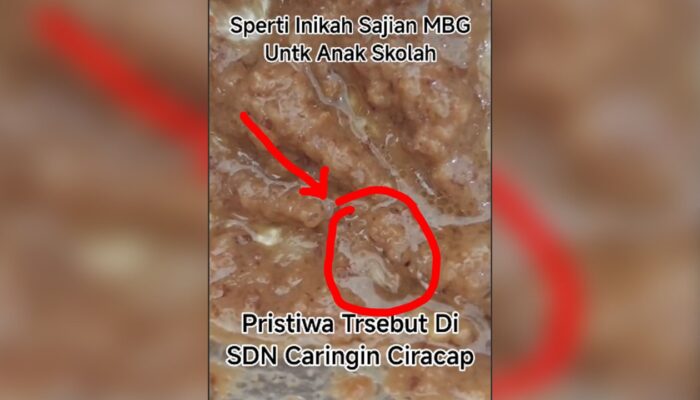 Viral Belatung di Menu MBG SDN Caringin Ciracap Sukabumi, Begini Klarifikasi Pemilik SPPG